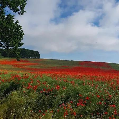 Am Yachthafen Sellin (Usedom)