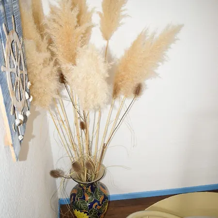 Am Yachthafen * Sellin (Usedom)